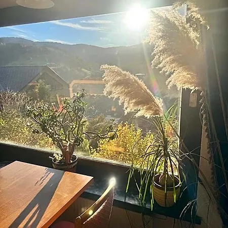 Schauinsland Hotel Oppenau