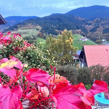 Schauinsland Oppenau