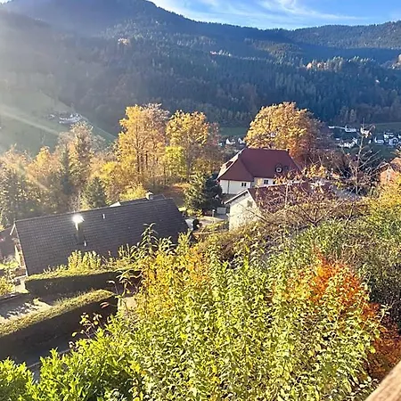 Schauinsland 3* Oppenau