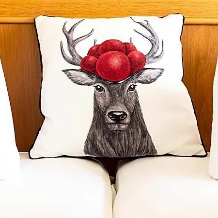 Schauinsland Hotel 3*