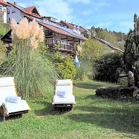 Hotel Schauinsland Oppenau